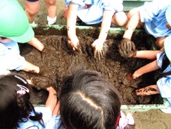 ぎんのすず幼稚園（保育士の求人）の写真1枚目：様々な経験を通して子どもたちの成長を支援します。