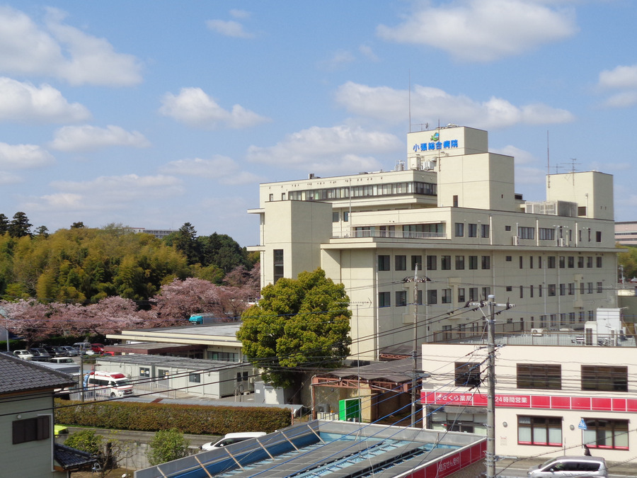 認可保育園　医療法人社団　圭春会　ひばり保育園の写真3枚目：