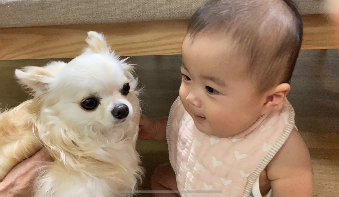 就労継続支援B型事業所「ココノBASE」【2026年03月01日オープン予定】（生活支援員の求人）の写真4枚目：