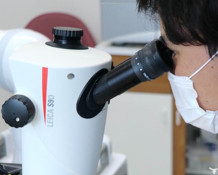 冨森歯科医院（歯科技工士の求人）の写真3枚目：