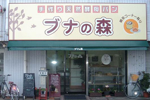 ブナの森の写真