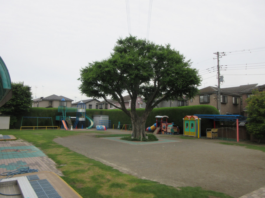 泉町保育園の写真2枚目：