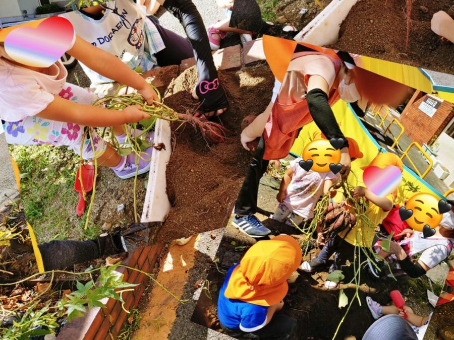 星のひかり保育園(保育士の求人)の写真4枚目: