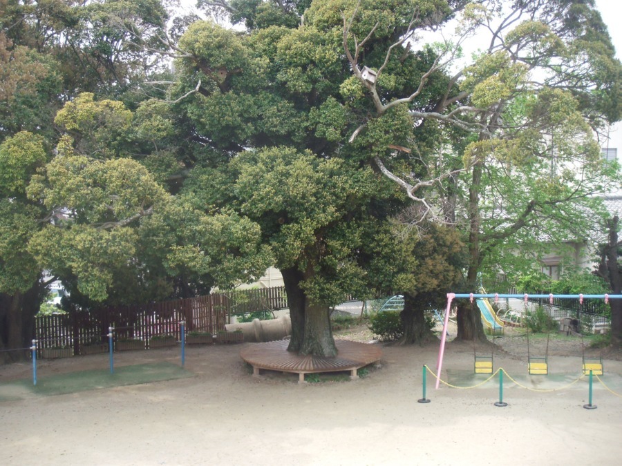 恵愛保育園（保育士の求人）の写真2枚目：