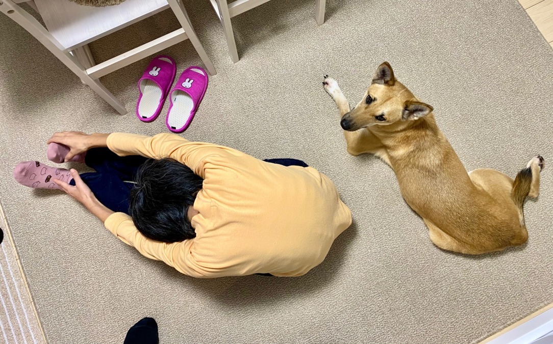 カルテット西瑞江（生活支援員の求人）の写真3枚目：