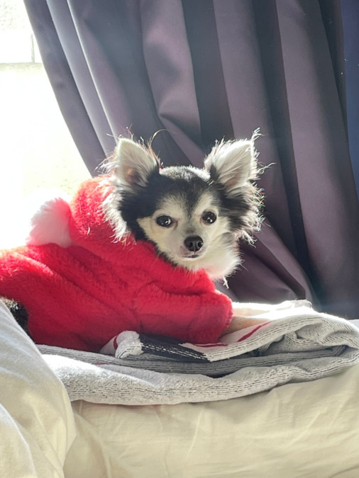 エピリズ（サービス管理責任者の求人）の写真