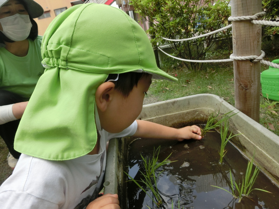 わかばの杜保育園（管理栄養士/栄養士の求人）の写真3枚目：