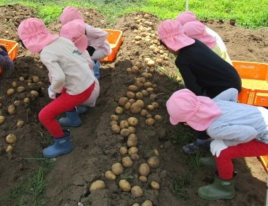 たんぽぽ保育所　六町園（保育士の求人）の写真13枚目：