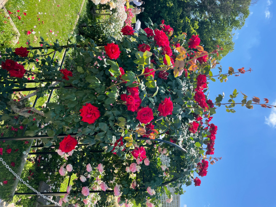 スマイルホーム3号棟の写真5枚目: