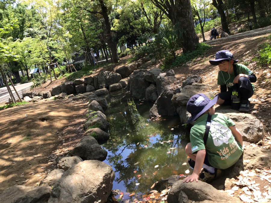 キッズフォレ平和の森の写真6枚目：