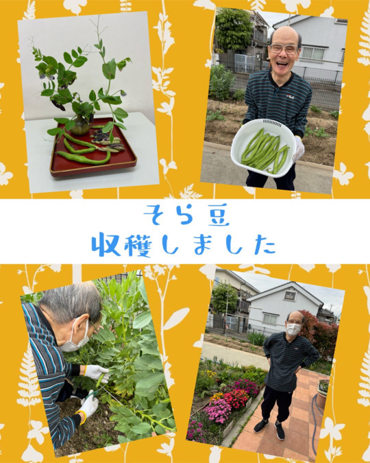 やさしい手伊丹の写真10枚目：
