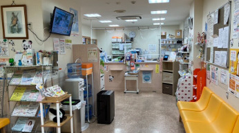 ジャパンファーマシー薬局　鳳駅前店（薬剤師の求人）の写真2枚目：鳳駅前店　待合室