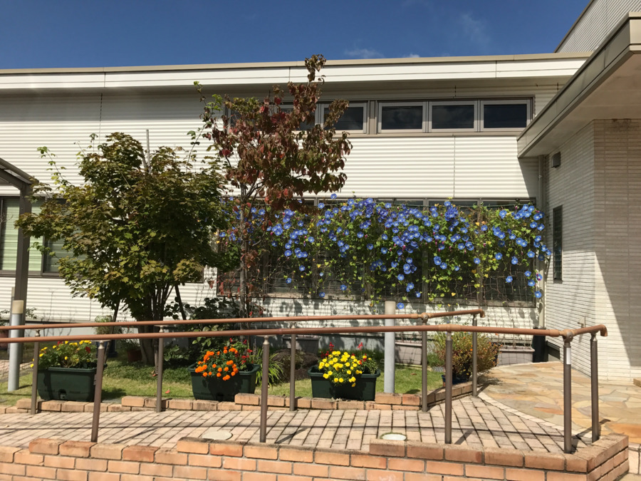 中尾歯科医院の写真5枚目: