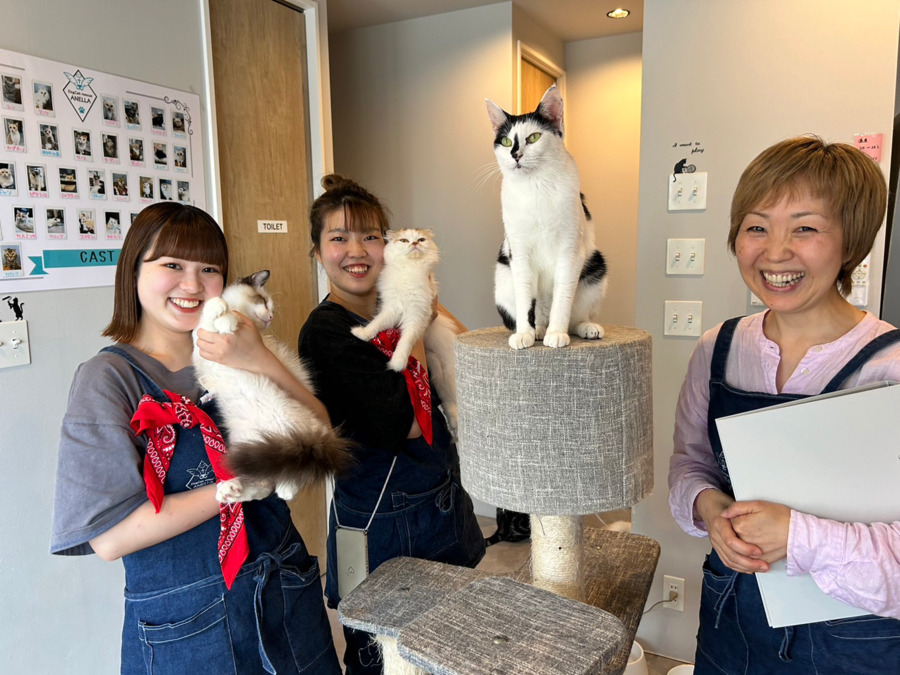 保護犬保護猫ふれあい＆カフェ ANELLA CAFÉイオン浜松西店【2025年09月オープン予定】（サービス管理責任者の求人）の写真3枚目：