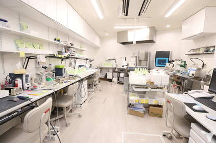 高井戸歯科医院（歯科技工士の求人）の写真2枚目：