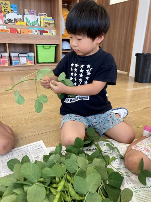ほっぺるランド北新宿の写真3枚目：