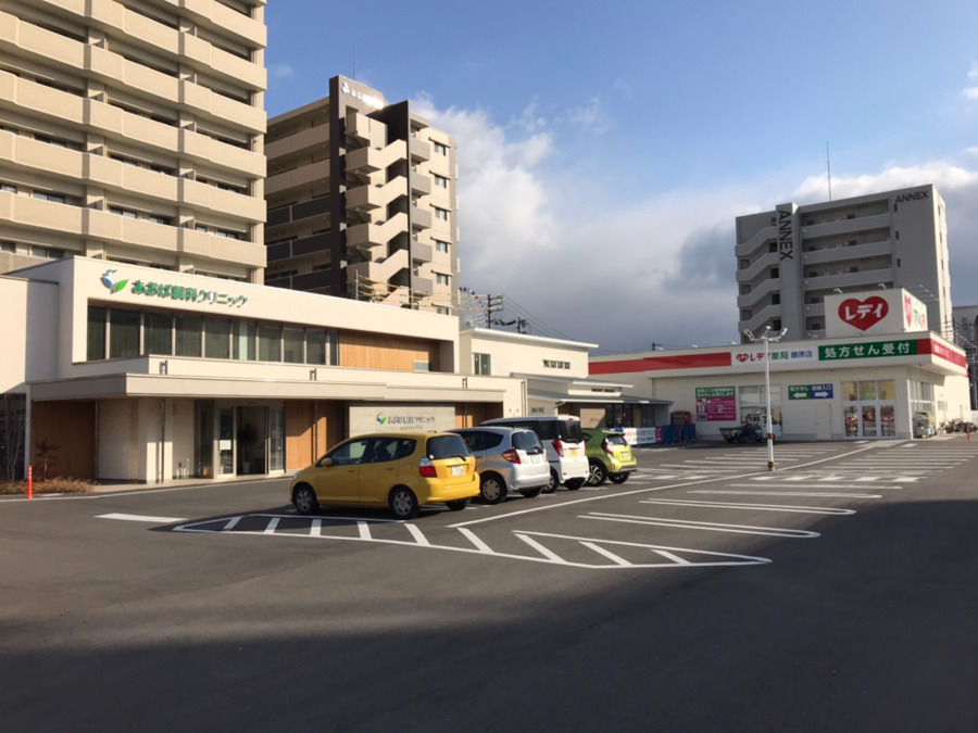 レデイ薬局　藤原店（薬剤師の求人）の写真2枚目：
