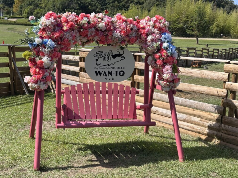 ステップライト（サービス管理責任者の求人）の写真2枚目：