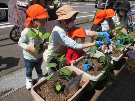 ニチイキッズ西大分保育園の写真3枚目：