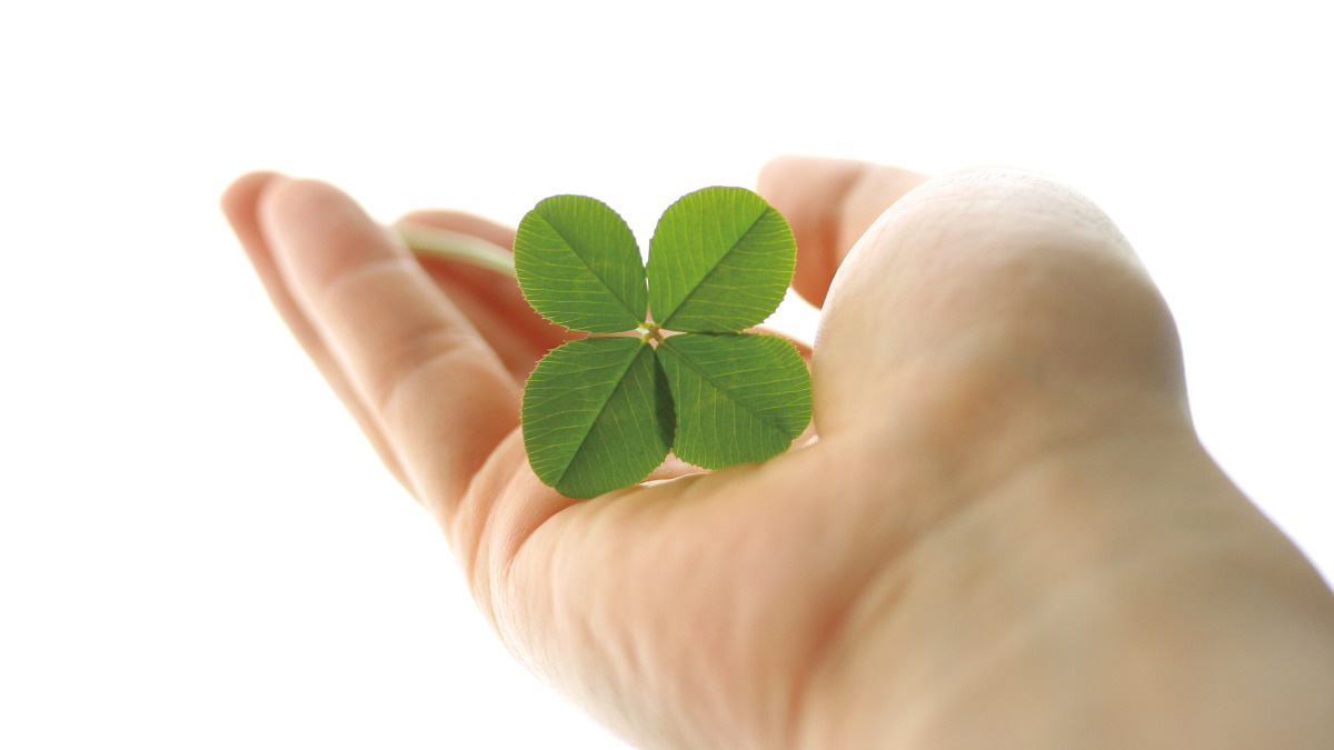 特定非営利活動法人土曜会 本部の写真