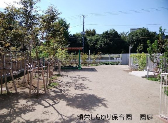 頌栄しらゆり保育園の写真3枚目：道路を挟んだ向こう側には桃井原っぱ公園があります
