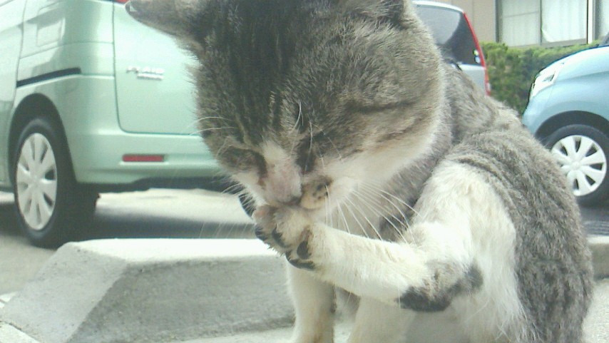 デイサービス夏詩の写真4枚目: