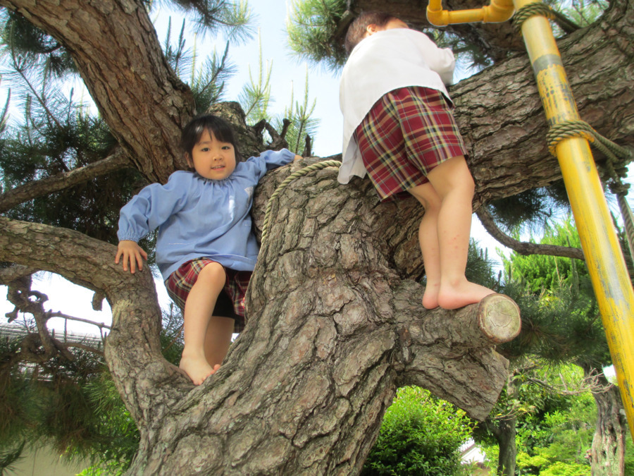 認定こども園 岩国東幼稚園の写真7枚目：