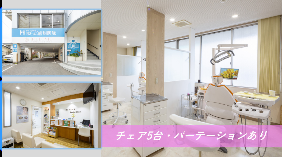 医療法人はらだ歯科医院(歯科衛生士の求人)の写真3枚目: