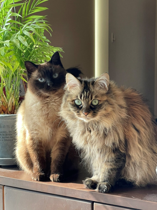 就労支援B型事業所 海猫ぴりかの写真4枚目: