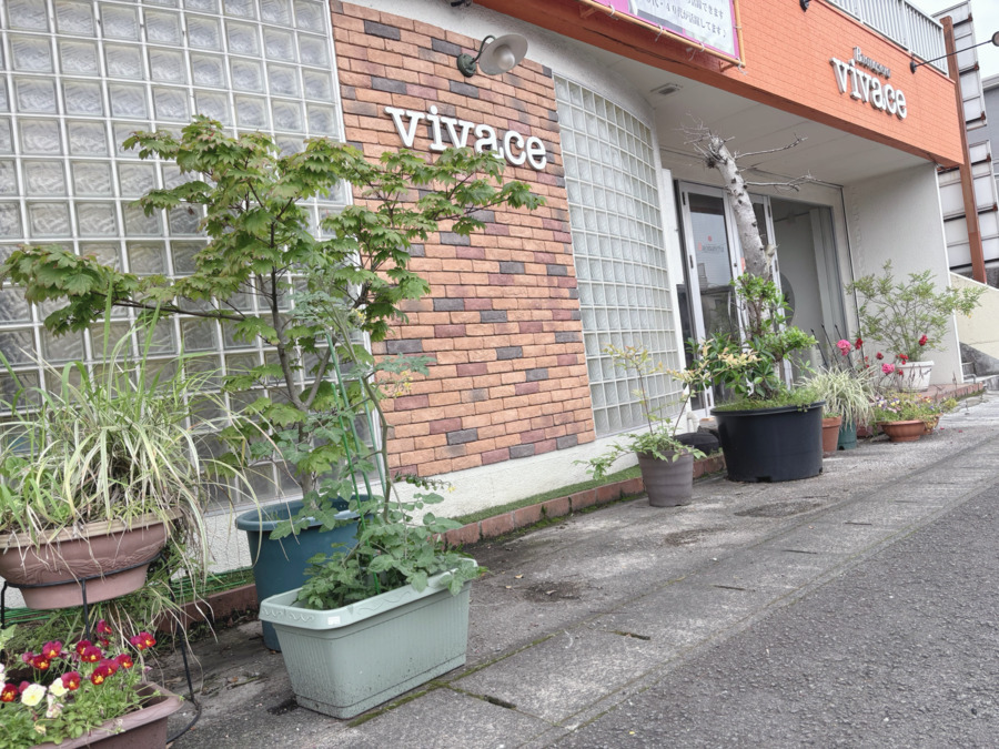 vivaceの写真