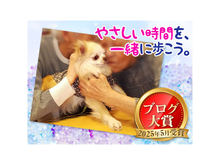 介護サービスセンター かたくり小岩（サービス提供責任者の求人）の写真5枚目：