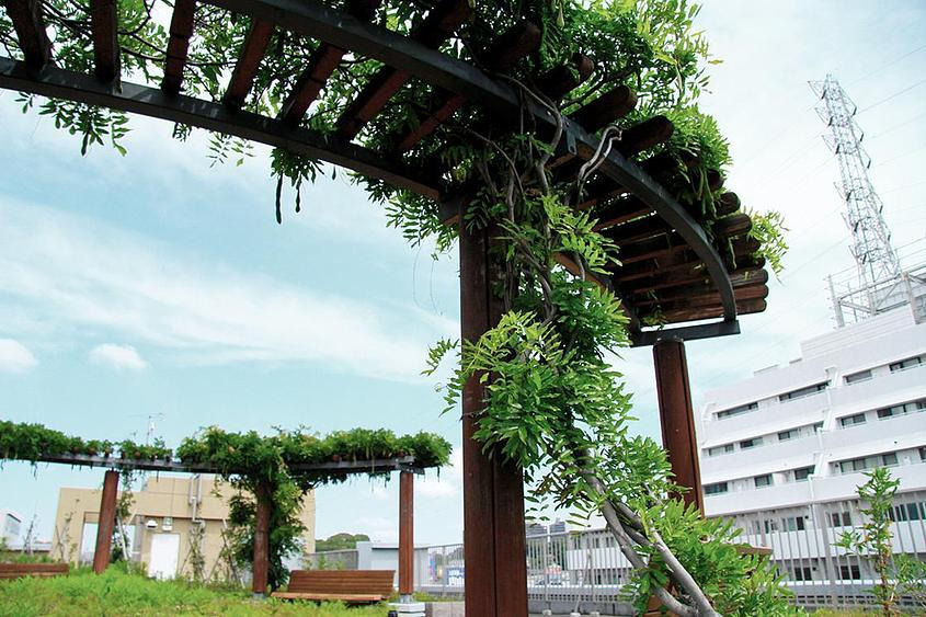 メディカル・リハビリホームボンセジュール千葉（理学療法士の求人）の写真9枚目：