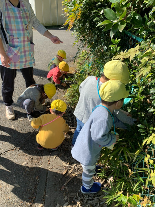 タムスわんぱく保育園川口（保育士の求人）の写真2枚目：