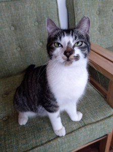 モナミ鎌ヶ谷大仏の写真