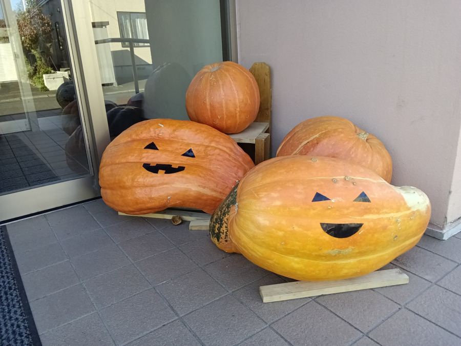 認定こども園屯田すずらん（保育士の求人）の写真9枚目：