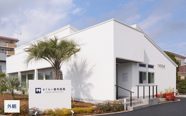 さくらい歯科医院の写真5枚目：ヤシの木がシンボルです♪