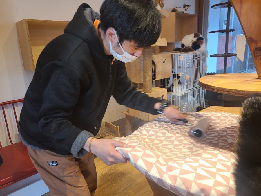 生活介護施設・アトリエカフェキズナ（サービス管理責任者の求人）の写真3枚目：