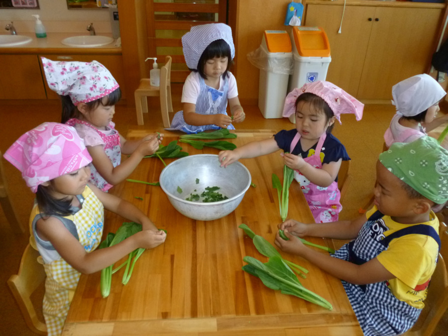 社会福祉法人翠生会　下新倉みどり保育園の写真3枚目：育てた野菜を収穫、調理。食べ物の大切さ、食べられることのありがたさを知る機会。