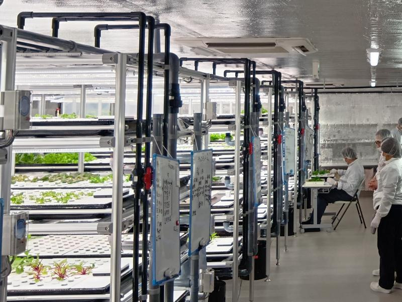 ニットウファームの画像