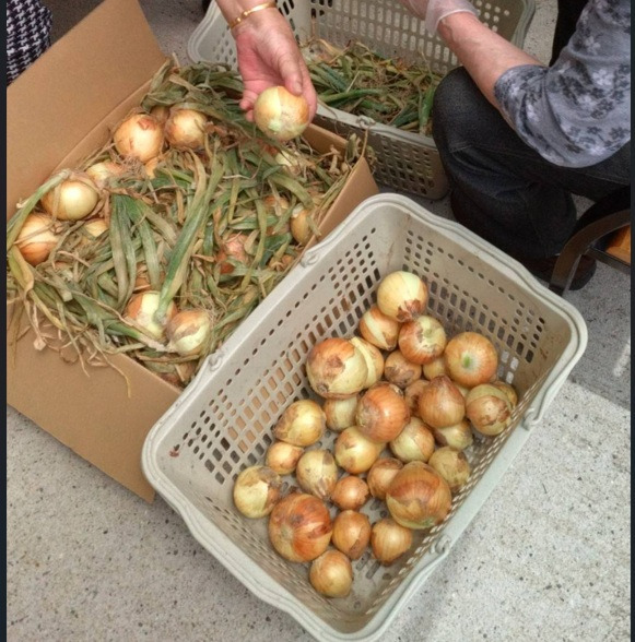 憩いの風デイサービス（介護職/ヘルパーの求人）の写真5枚目：