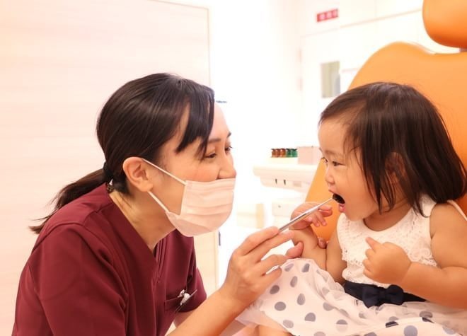 くるみ歯科こども歯科【2019年10月オープン】(歯科医師の求人)の写真:「0歳からの予防歯科」がコンセプト。患者さまに優しい治療を心がけています