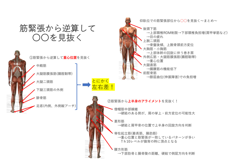 スマイル整骨院 伊勢原（鍼灸師の求人）の写真8枚目：グループ勉強会資料