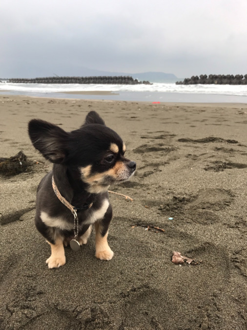 ななほし介護センターの写真3枚目：