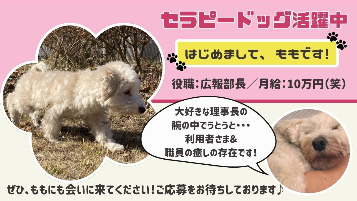 特別養護老人ホームフラワープラム（総合職/新卒/その他の求人）の写真2枚目：
