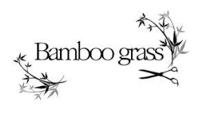 Bamboo grass（バンブーグラス）の写真