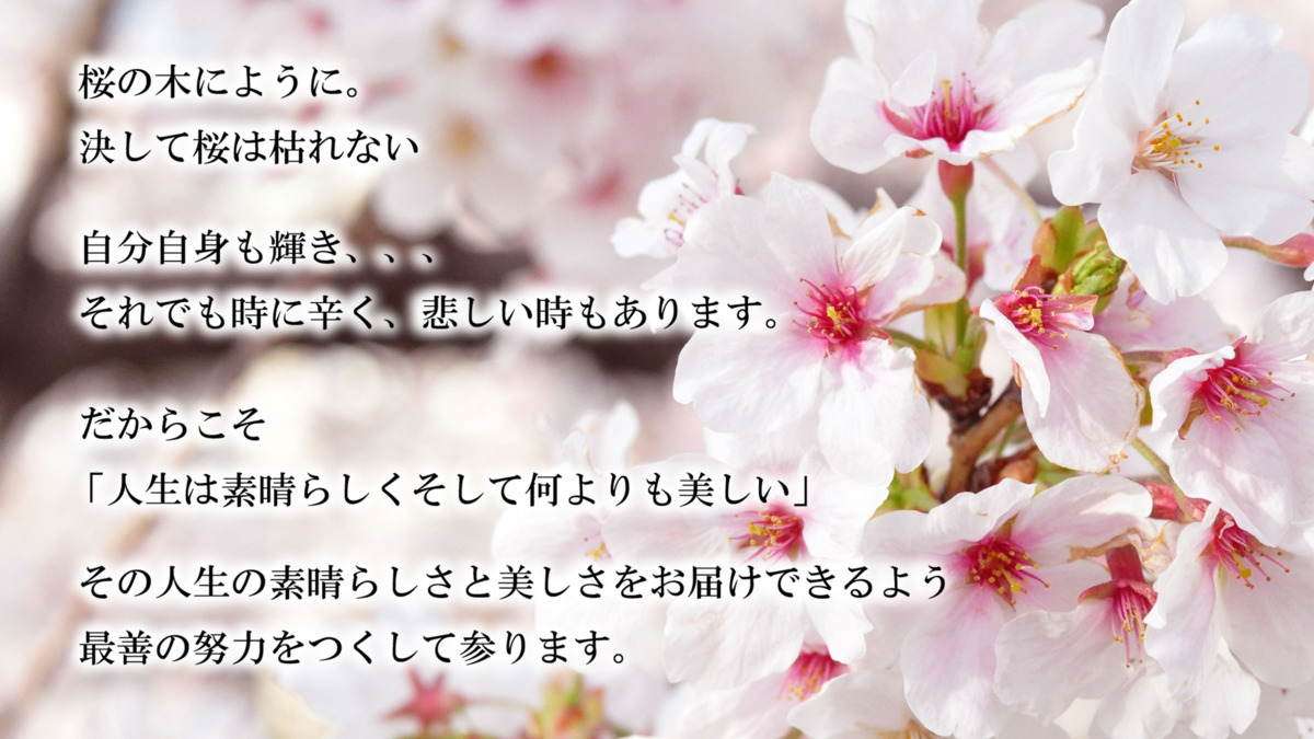 医療法人社団桜 本部(営業/管理部門/その他の求人)の写真: