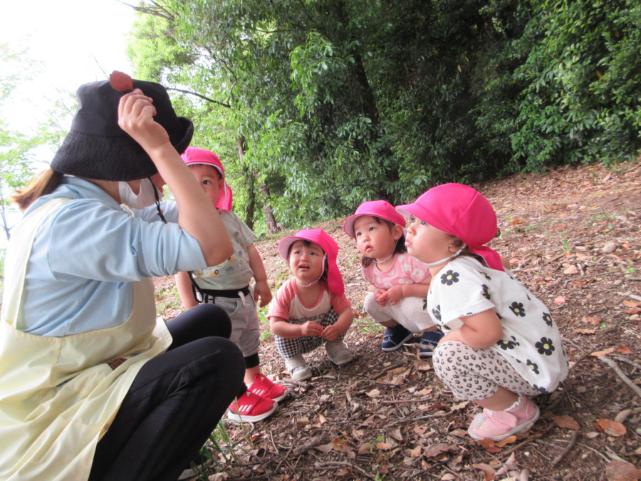 ニチイキッズ美濃加茂保育園（保育士の求人）の写真3枚目：