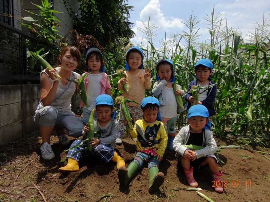 春ひな保育園の写真3枚目：