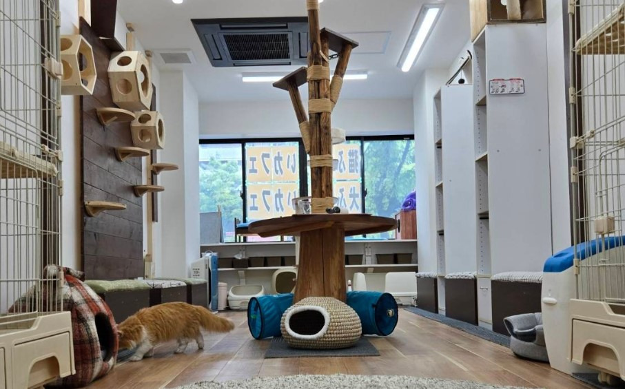 就労継続支援B型Dolbomの画像