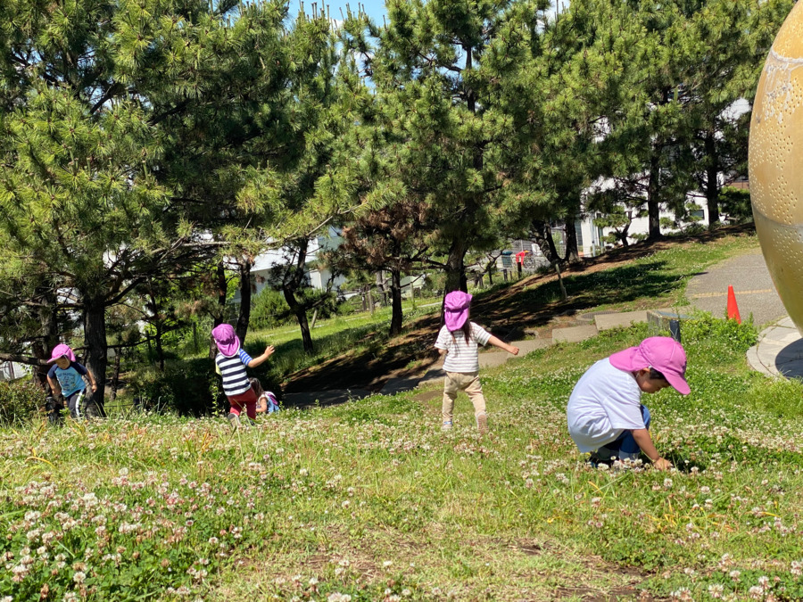 ピノキオ幼児舎　茅ヶ崎保育園の写真4枚目：